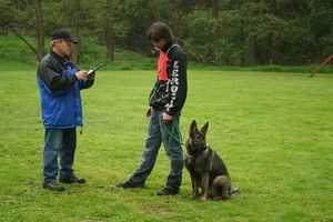 kliknutím zvětšit fotografii fotky ZKO