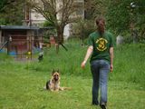 kliknutím zvětšit fotografii fotky ZKO