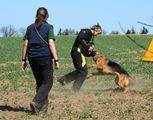 kliknutím zvětšit fotografii fotky ZKO