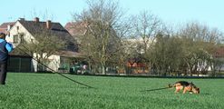 kliknutím zvětšit fotografii fotky ZKO