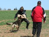 kliknutím zvětšit fotografii fotky ZKO