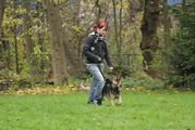 kliknutím zvětšit fotografii fotky ZKO