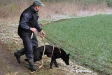 kliknutím zvětšit fotografii fotky ZKO