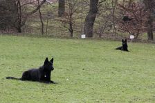 kliknutím zvětšit fotografii fotky ZKO