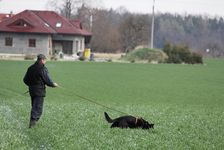 kliknutím zvětšit fotografii fotky ZKO