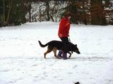 kliknutím zvětšit fotografii fotky ZKO
