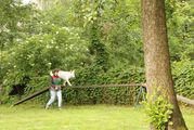 kliknutím zvětšit fotografii fotky ZKO