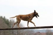 kliknutím zvětšit fotografii fotky ZKO