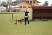 kliknutím zvětšit fotografii fotky ZKO