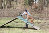 kliknutím zvětšit fotografii fotky ZKO