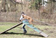 kliknutím zvětšit fotografii fotky ZKO