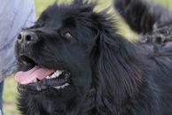 kliknutím zvětšit fotografii fotky ZKO