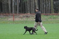 kliknutím zvětšit fotografii fotky ZKO