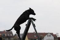 kliknutím zvětšit fotografii fotky ZKO