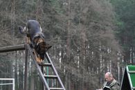 kliknutím zvětšit fotografii fotky ZKO