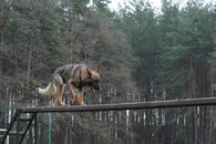 kliknutím zvětšit fotografii fotky ZKO