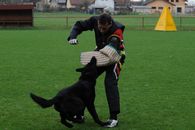 kliknutím zvětšit fotografii fotky ZKO