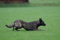 kliknutím zvětšit fotografii fotky ZKO