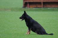 kliknutím zvětšit fotografii fotky ZKO