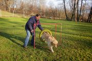 kliknutím zvětšit fotografii fotky ZKO