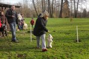 kliknutím zvětšit fotografii fotky ZKO