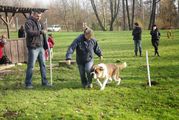 kliknutím zvětšit fotografii fotky ZKO