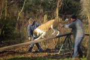 kliknutím zvětšit fotografii fotky ZKO