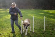 kliknutím zvětšit fotografii fotky ZKO