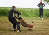 kliknutím zvětšit fotografii fotky ZKO