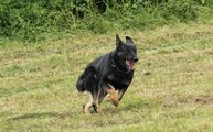 kliknutím zvětšit fotografii fotky ZKO