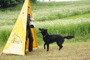 kliknutím zvětšit fotografii fotky ZKO