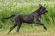 kliknutím zvětšit fotografii fotky ZKO