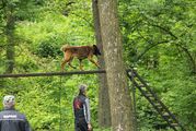 kliknutím zvětšit fotografii fotky ZKO