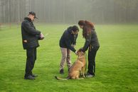 kliknutím zvětšit fotografii fotky ZKO