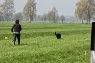 kliknutím zvětšit fotografii fotky ZKO
