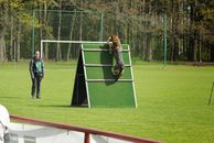 kliknutím zvětšit fotografii fotky ZKO