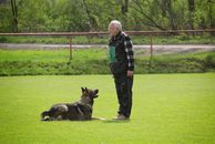 kliknutím zvětšit fotografii fotky ZKO