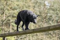 kliknutím zvětšit fotografii fotky ZKO