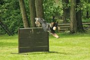 kliknutím zvětšit fotografii fotky ZKO
