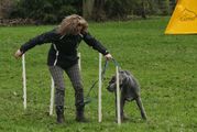 kliknutím zvětšit fotografii fotky ZKO