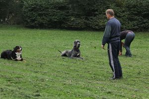 kliknutím zvětšit fotografii fotky ZKO