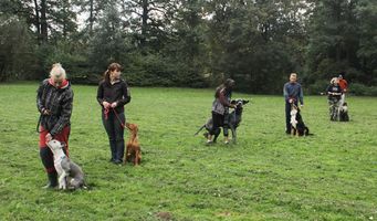 kliknutím zvětšit fotografii fotky ZKO