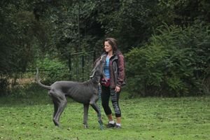 kliknutím zvětšit fotografii fotky ZKO