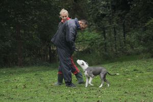 kliknutím zvětšit fotografii fotky ZKO