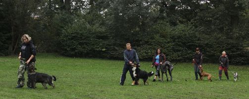 kliknutím zvětšit fotografii fotky ZKO