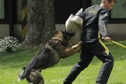 kliknutím zvětšit fotografii fotky ZKO