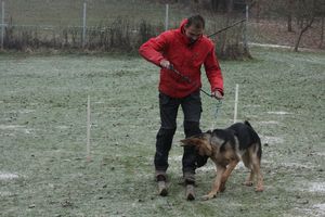 kliknutím zvětšit fotografii fotky ZKO