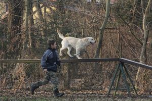 kliknutím zvětšit fotografii fotky ZKO