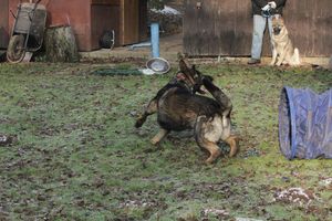 kliknutím zvětšit fotografii fotky ZKO