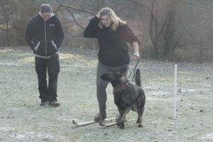 kliknutím zvětšit fotografii fotky ZKO